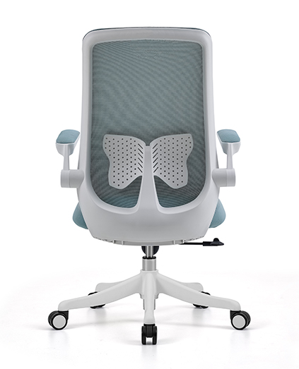 815B-1DP White frame