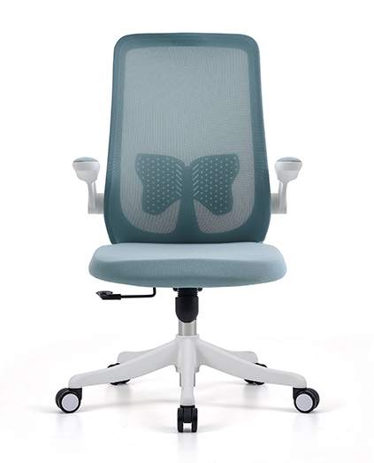 815B-1DP White frame