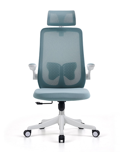815A-1DP White frame