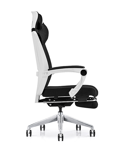 Q57A-1-GP White frame
