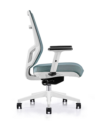813B-1   White frame